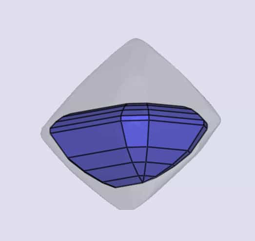 sarine