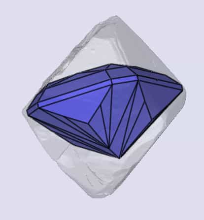 sarine