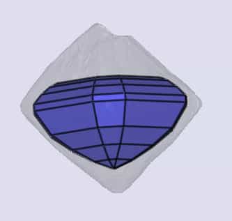 sarine