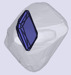 sarine
