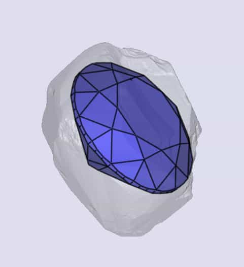 sarine