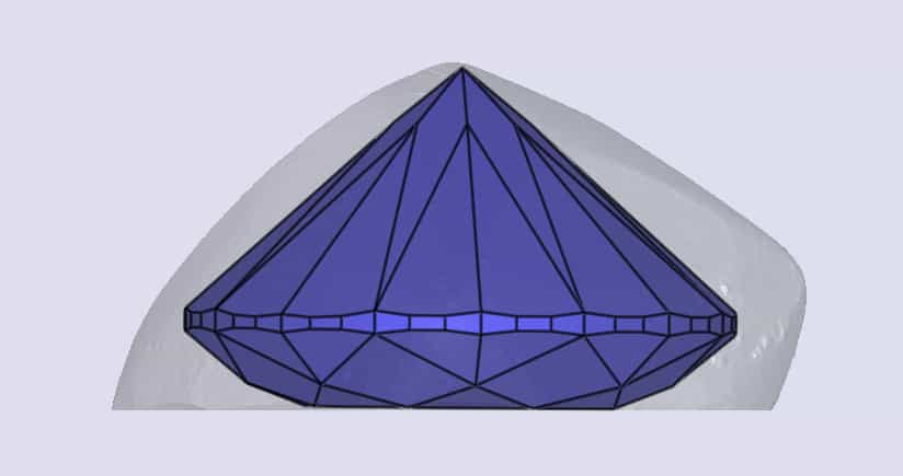 sarine