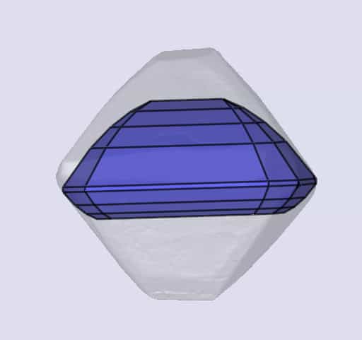 sarine