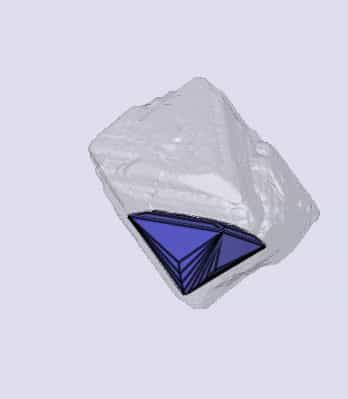 sarine
