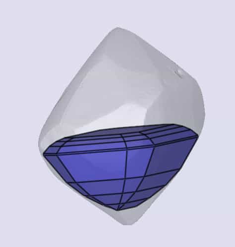 sarine