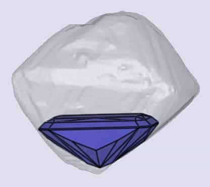 sarine