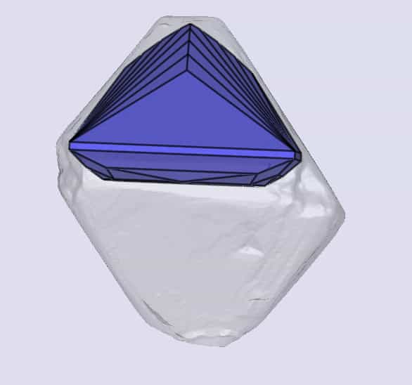 sarine