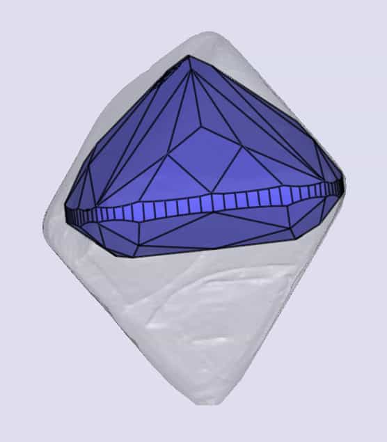 sarine