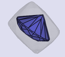 sarine