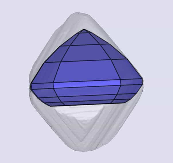 sarine