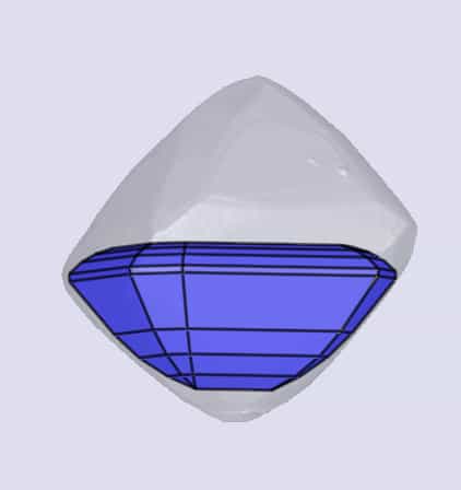 sarine