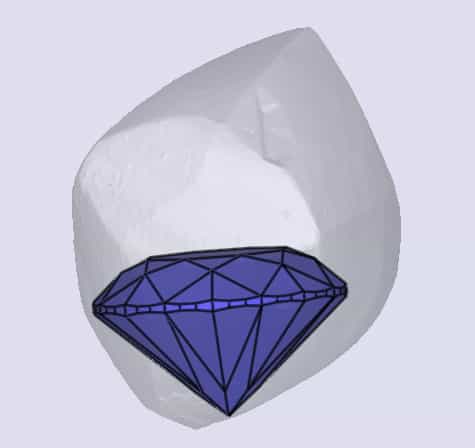 sarine