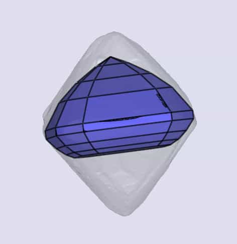 sarine