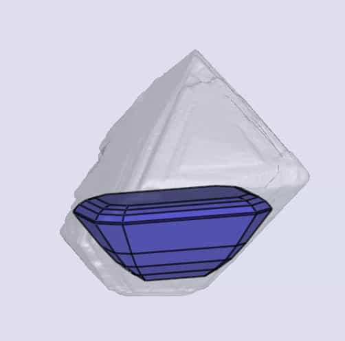 sarine