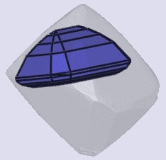 sarine