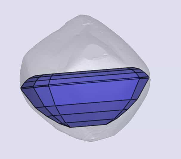 sarine
