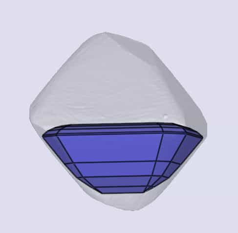 sarine
