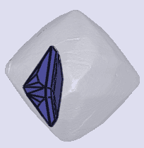 sarine