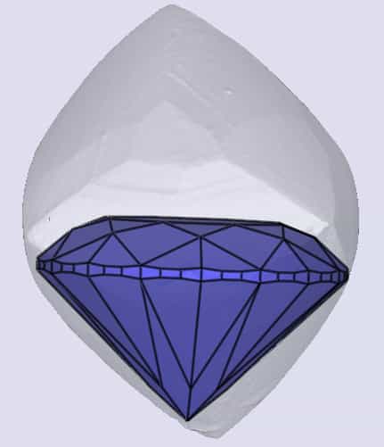 sarine