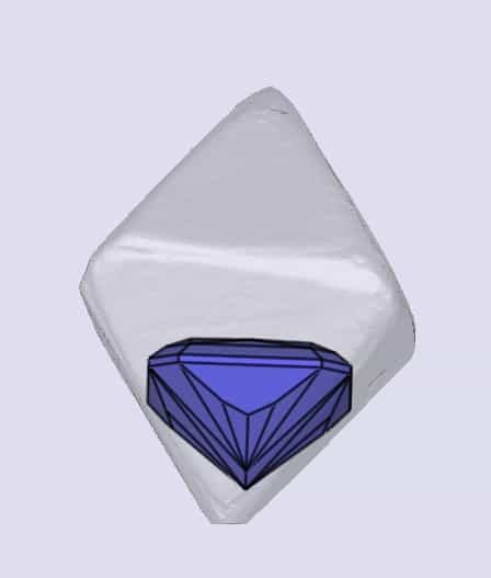 sarine