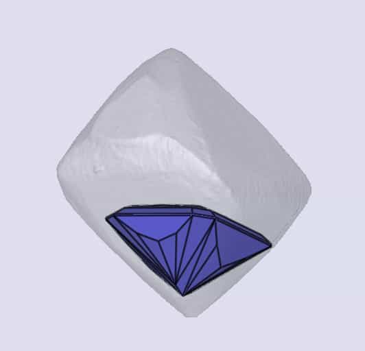 sarine