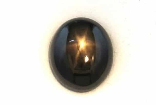 primary zoom in