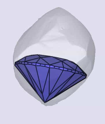 sarine