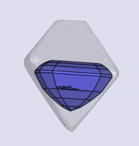 sarine