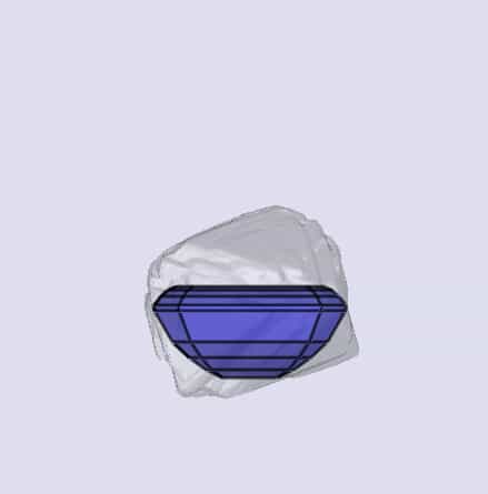 sarine