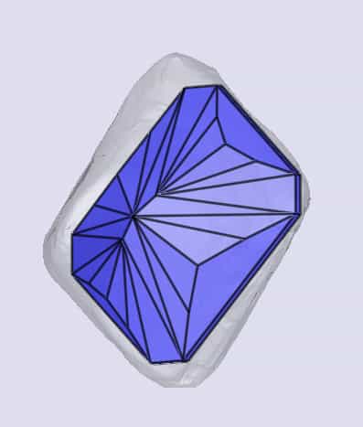 sarine