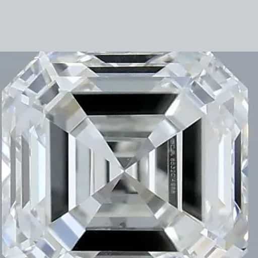 primary