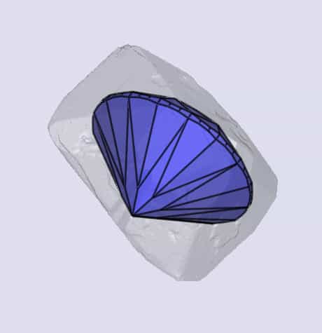 sarine