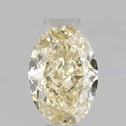 primary