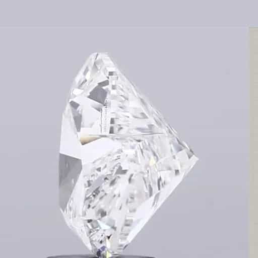 primary