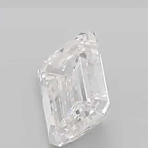 primary