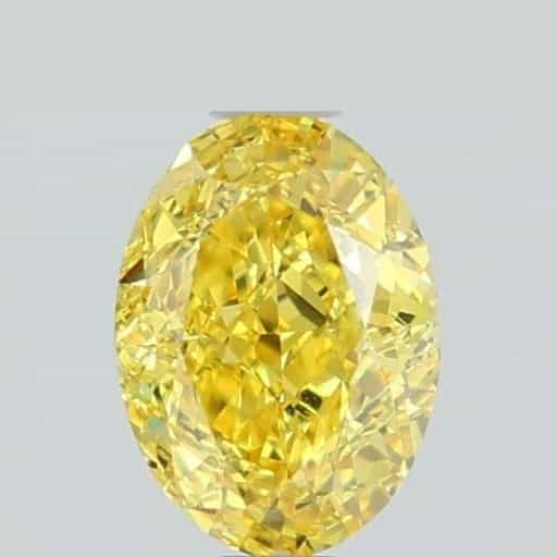 primary