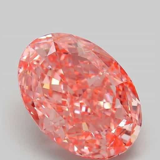 primary