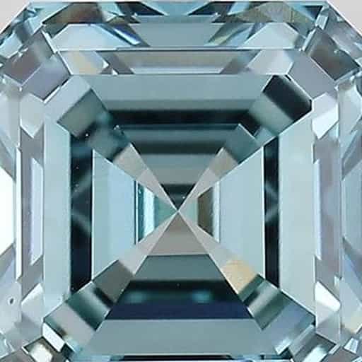 primary