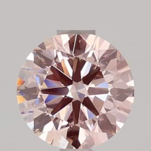 primary