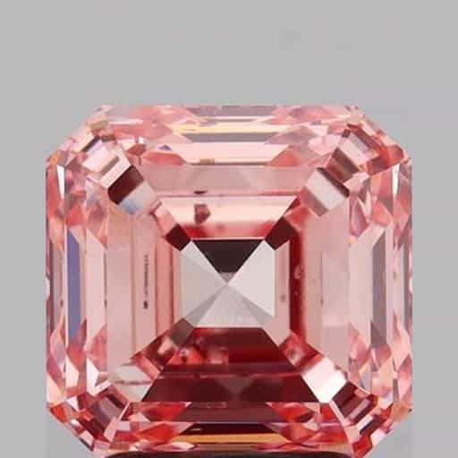 primary