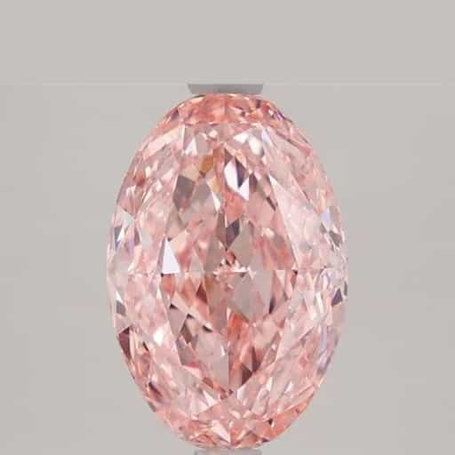 primary