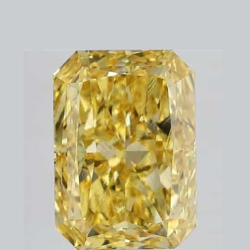 primary