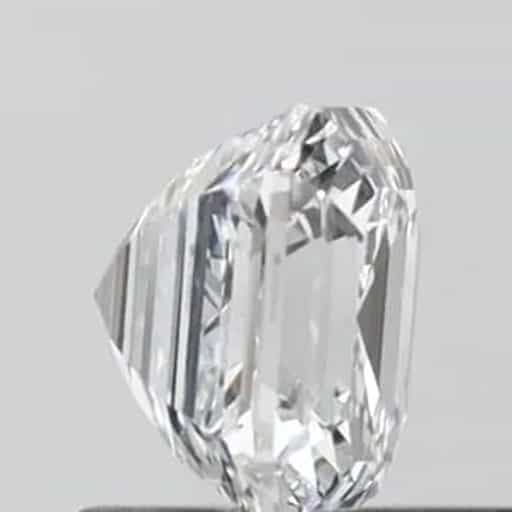 primary