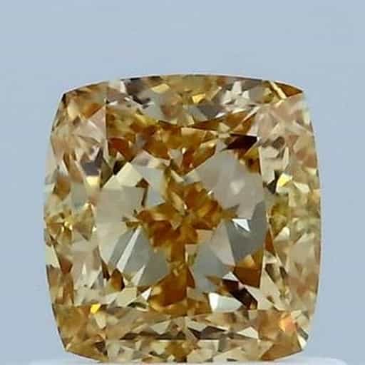 primary