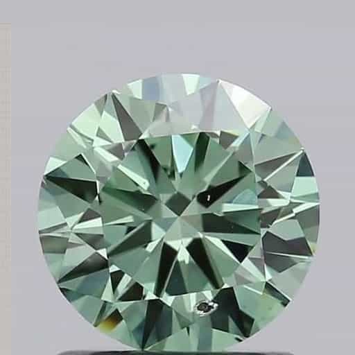primary