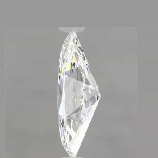 primary