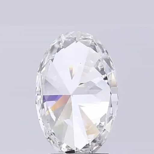 primary