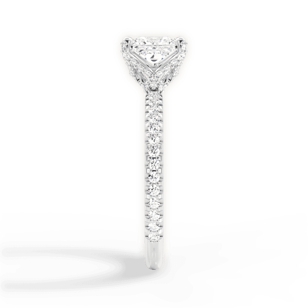 14kt White Gold/18kt White Gold/Platinum/princess/perspective