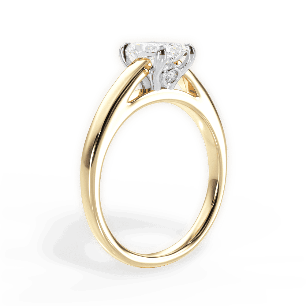 14kt Yellow Gold/18kt Yellow Gold/radiant/front