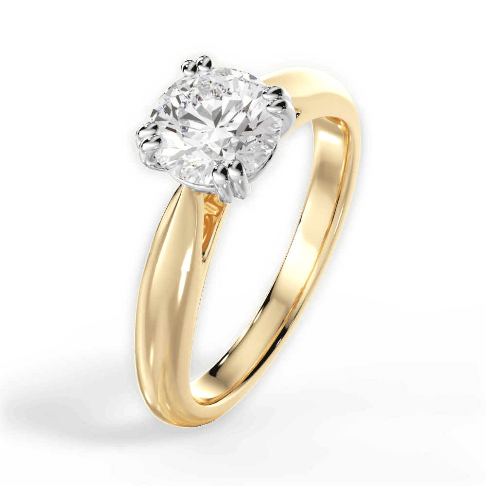 14kt Yellow Gold/18kt Yellow Gold/round/perspective